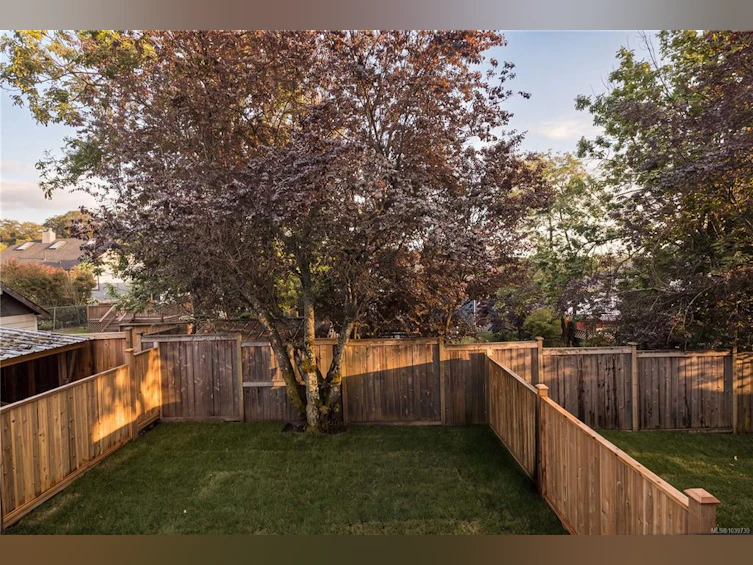 4-913 Dale Street, Saanich, BC, V8X 2V9 - 3