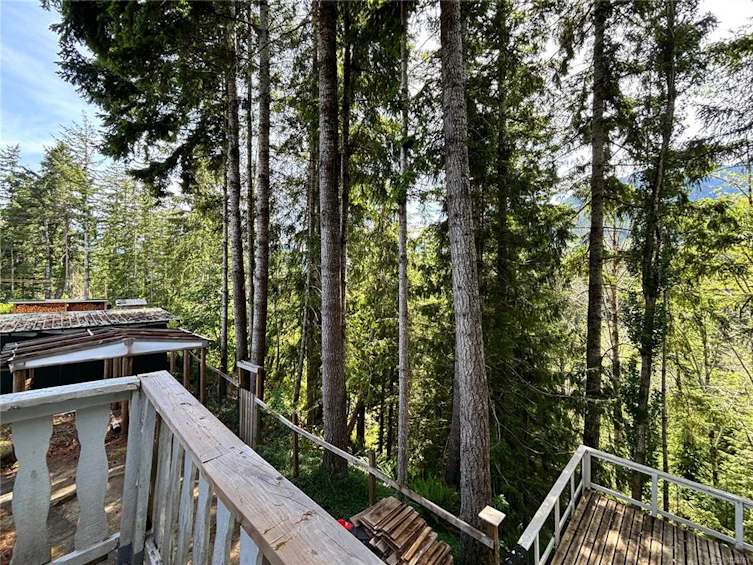 380 Alder Crescent, Gold River, BC, V0P 1G0 - 43