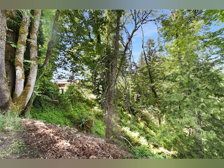 4313 Alderwood Drive, Port Alberni, BC, V9Y 4B5 - 48