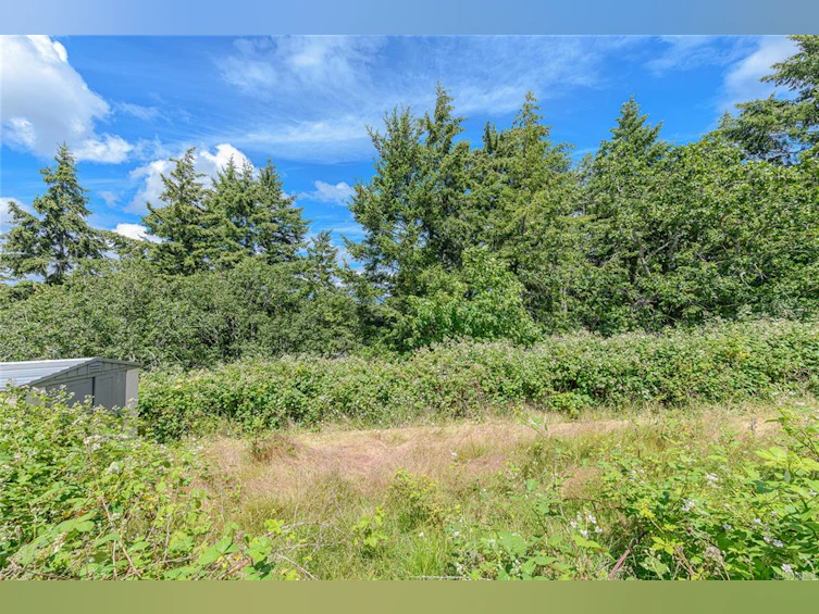 3967 Juan De Fuca Terrace, Saanich, BC, V8N 5W9 - 42