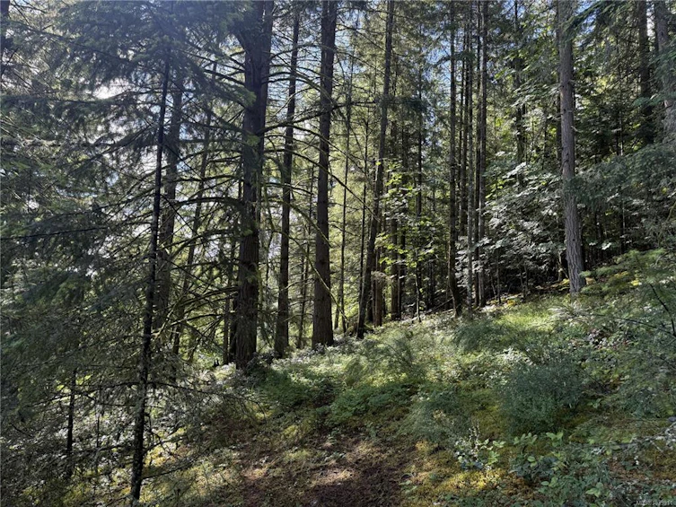 part-DL106 Grouhel Road, Ladysmith, BC, V9G 1J5 - 4