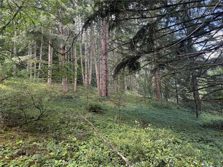part-DL106 Grouhel Road, Ladysmith, BC, V9G 1J5 - 7