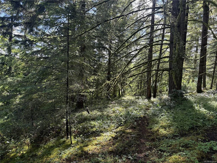 part-DL106 Grouhel Road, Ladysmith, BC, V9G 1J5 - 5