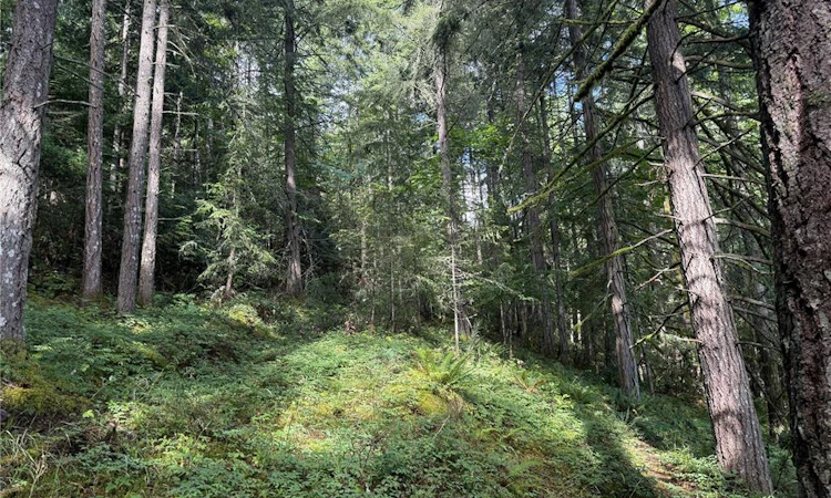 part-DL106 Grouhel Road