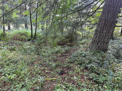 part-DL106 Grouhel Road - 2