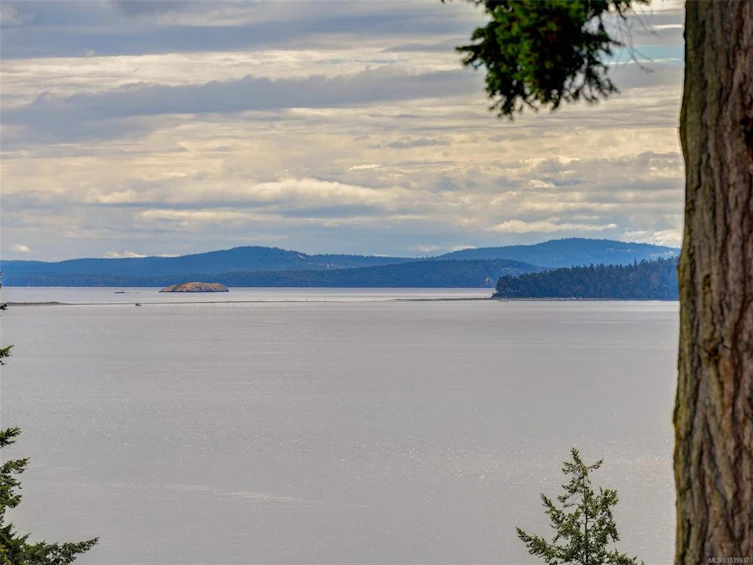 29-2353 Harbour Road, Sidney, BC, V8L 3X8 - 28