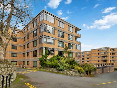 501-2920 Cook Street - 3