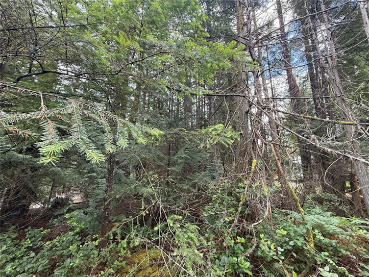 Lt 53 Dirksen Road, Gabriola Island, BC, V0R 1X2 - 10