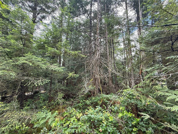Lt 53 Dirksen Road, Gabriola Island, BC, V0R 1X2 - 9