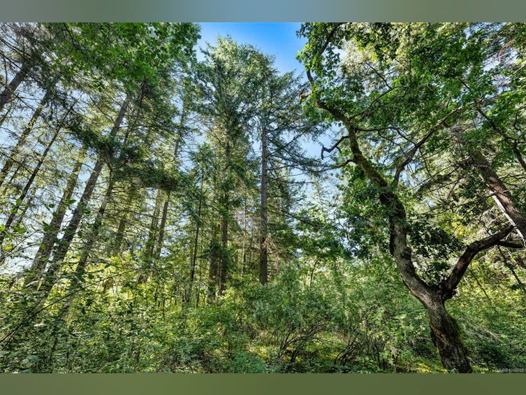 1290 Mckenzie Drive, Duncan, BC, V9L 5R9 - 35
