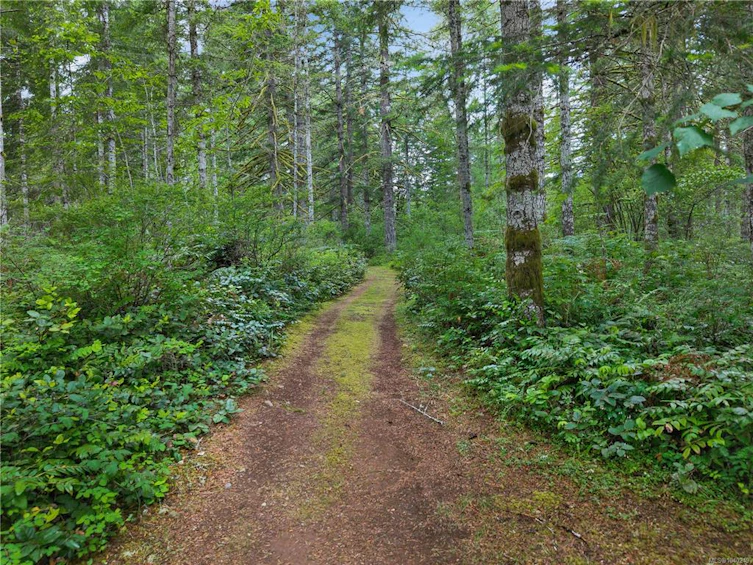 4040 York Road, Campbell River, BC, V9H 1B3 - 69