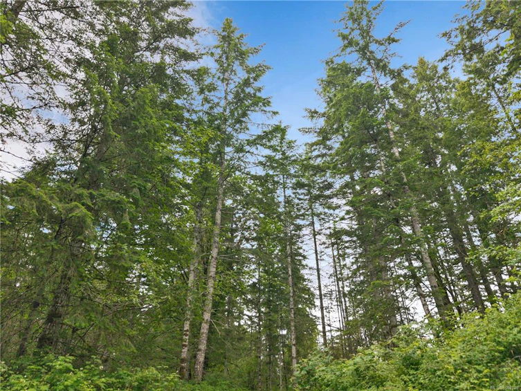 4040 York Road, Campbell River, BC, V9H 1B3 - 65