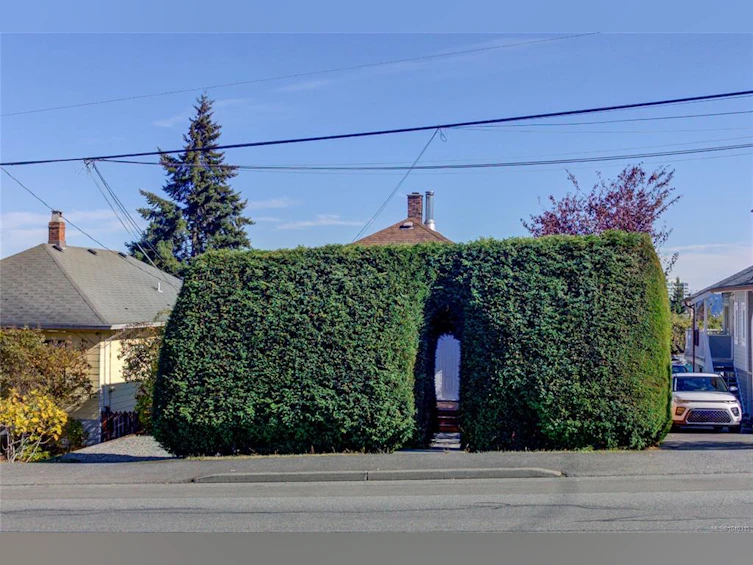 58 Pine Street, Nanaimo, BC, V9R 2B2 - 3