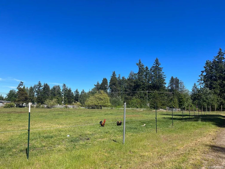 981 Pratt Road, Hilliers, BC, V9K 1W5 - 38