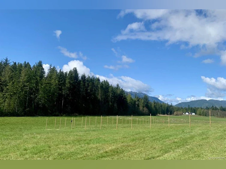 981 Pratt Road, Hilliers, BC, V9K 1W5 - 3