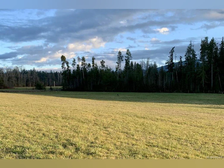 981 Pratt Road, Hilliers, BC, V9K 1W5 - 40
