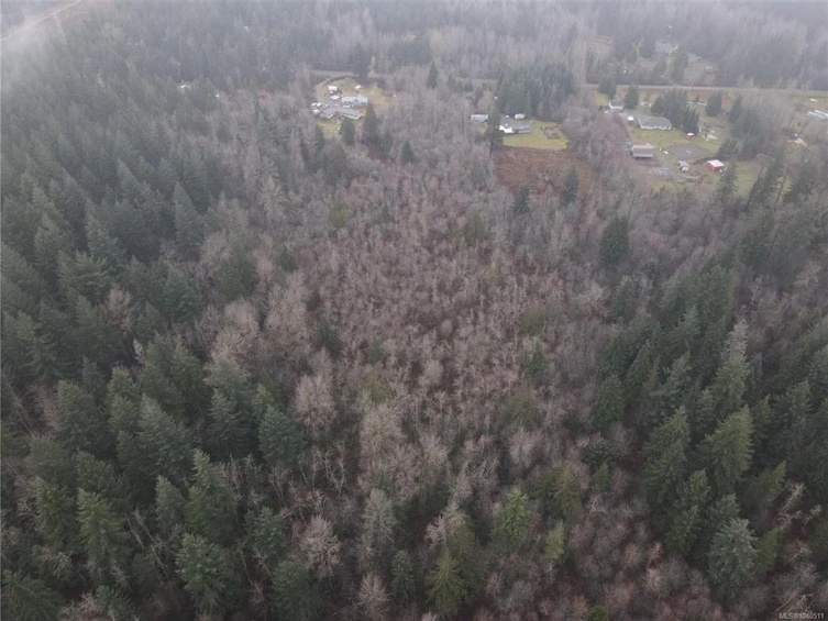 Lot 2 Doyle Road, Black Creek, BC, V6C 3A6 - 12