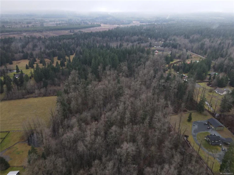 Lot 2 Doyle Road, Black Creek, BC, V6C 3A6 - 18