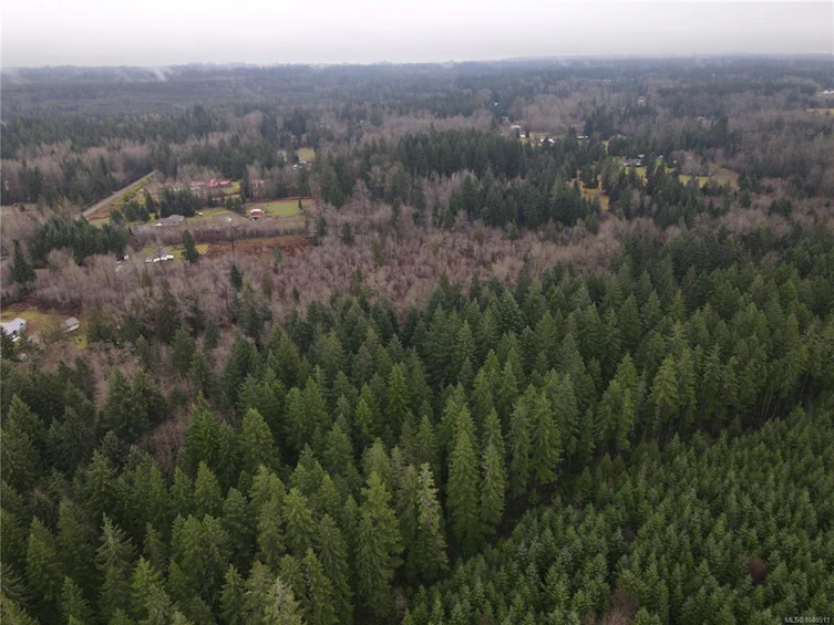 Lot 2 Doyle Road, Black Creek, BC, V6C 3A6 - 6