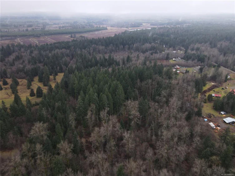 Lot 2 Doyle Road, Black Creek, BC, V6C 3A6 - 17