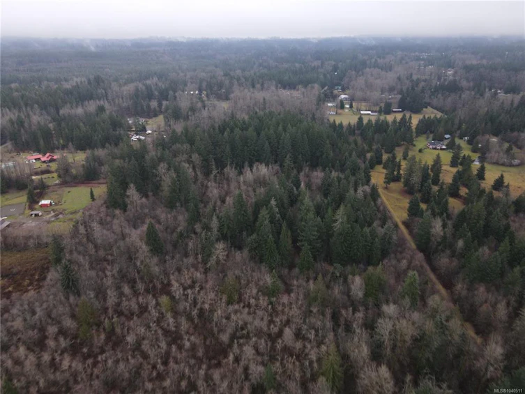 Lot 2 Doyle Road, Black Creek, BC, V6C 3A6 - 8