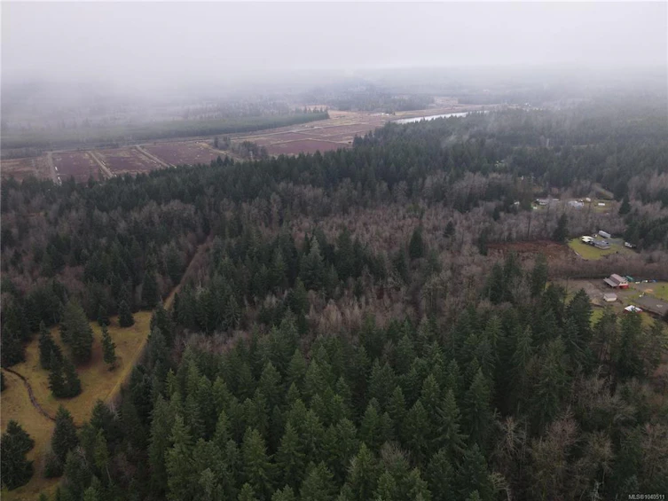 Lot 2 Doyle Road, Black Creek, BC, V6C 3A6 - 16