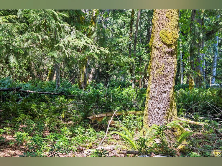 10056 Victoria Road, Chemainus, BC, V0R 1K2 - 19