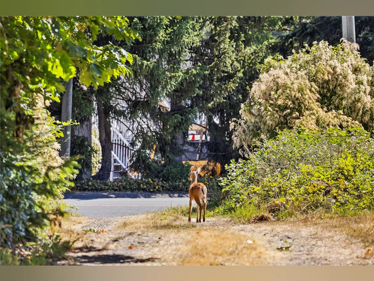 10056 Victoria Road, Chemainus, BC, V0R 1K2 - 20
