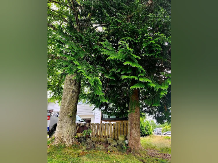 1550 Larch Road, Ucluelet, BC, V0R 3A0 - 34