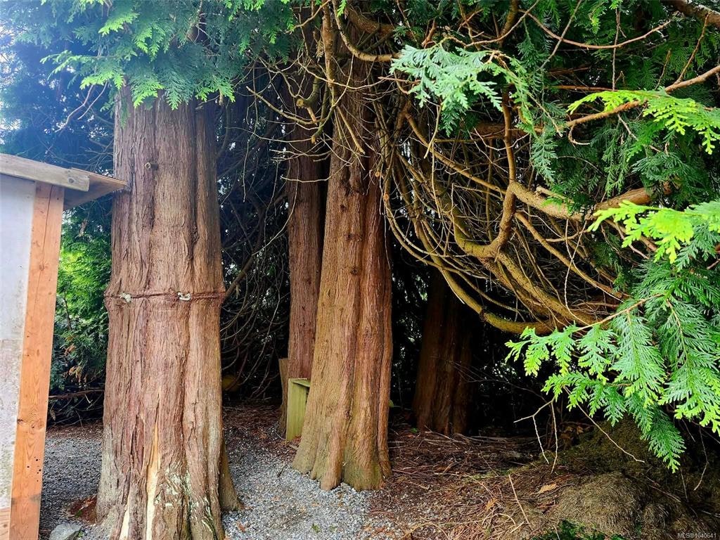 1550 Larch Road, Ucluelet, BC, V0R 3A0 - 37
