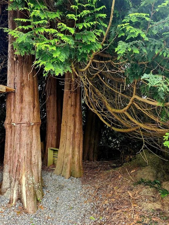 1550 Larch Road, Ucluelet, BC, V0R 3A0 - 38