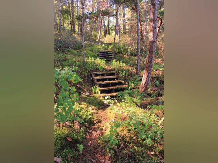 Lt 38 Ruxton Road, Ruxton Island, BC, V0R 1X7 - 43