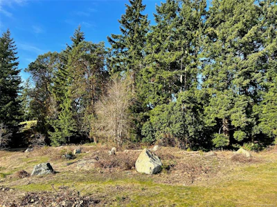 5772 Linley Valley Drive - 4