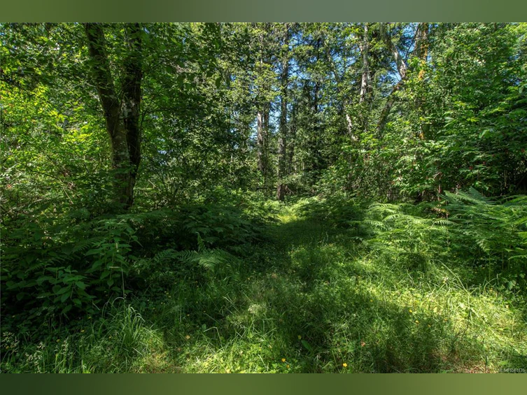 7602 N Island Highway, Black Creek, BC, V9J 1G3 - 39