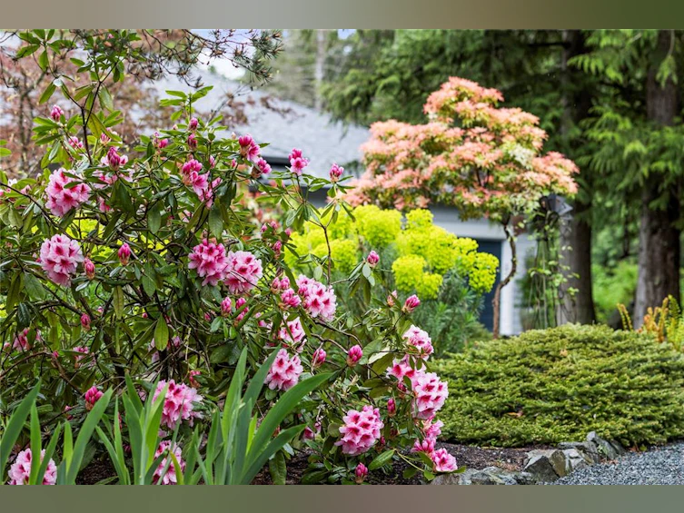 7190 Hase Place, Nanaimo, BC, V0R 2H0 - 63