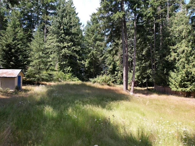 1108 Pat Burns Avenue - 5