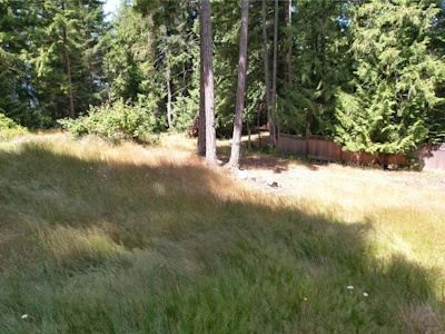 1108 Pat Burns Avenue - 4