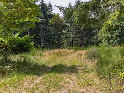 Lot A-6755 Stoney Hill Road - 2