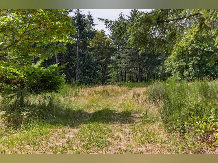 Lot A-6755 Stoney Hill Road, Duncan, BC, V9L 6Y6 - 2