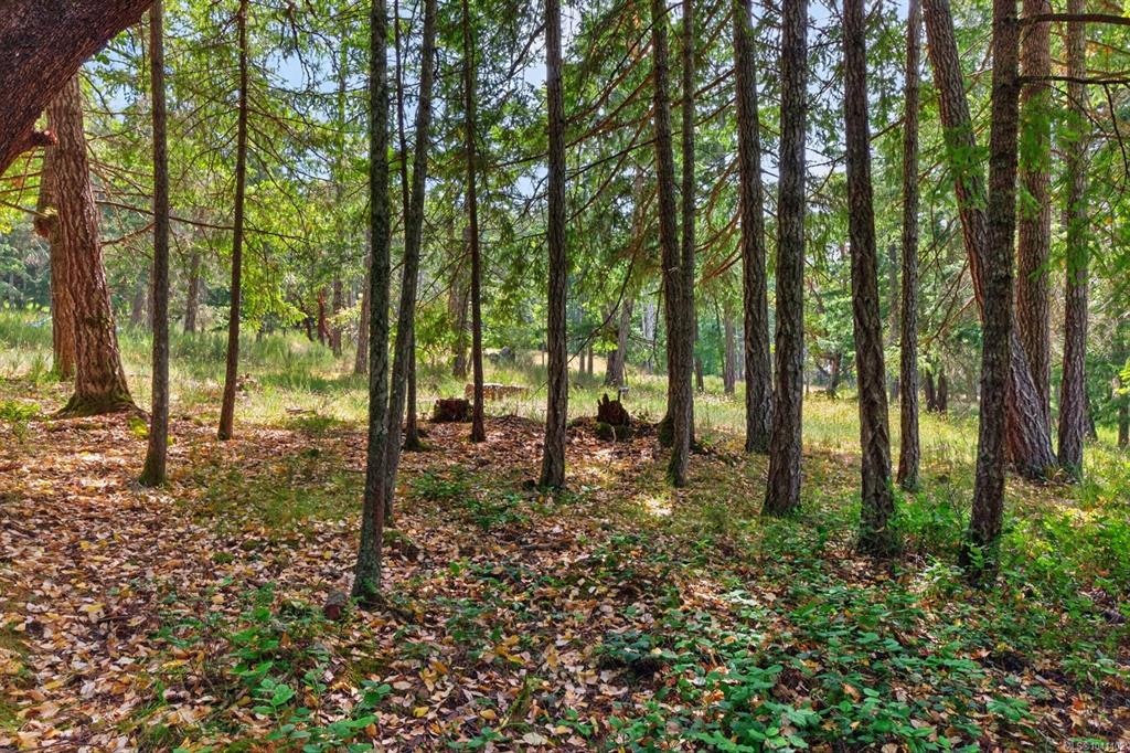 Lot A-6755 Stoney Hill Road, Duncan, BC, V9L 6Y6 - 8