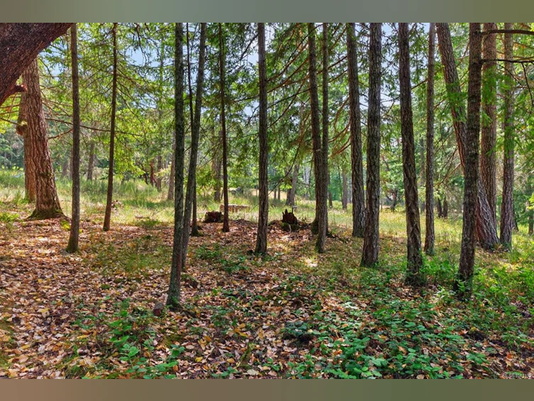 Lot A-6755 Stoney Hill Road, Duncan, BC, V9L 6Y6 - 8