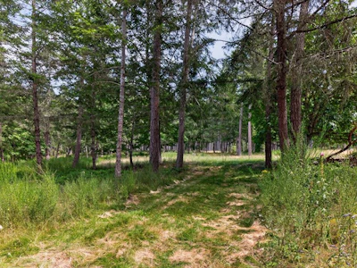 Lot A-6755 Stoney Hill Road - 4