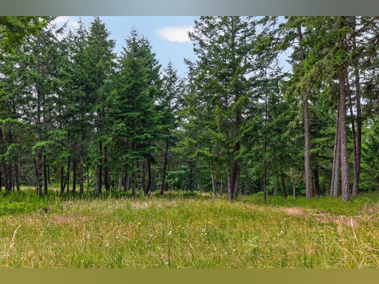 Lot A-6755 Stoney Hill Road, Duncan, BC, V9L 6Y6 - 7