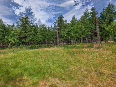 Lot A-6755 Stoney Hill Road - 3