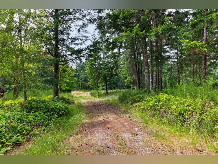 Lot A-6755 Stoney Hill Road, Duncan, BC, V9L 6Y6 - 6