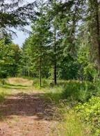 Lot A 6755 Stoney Hill Road