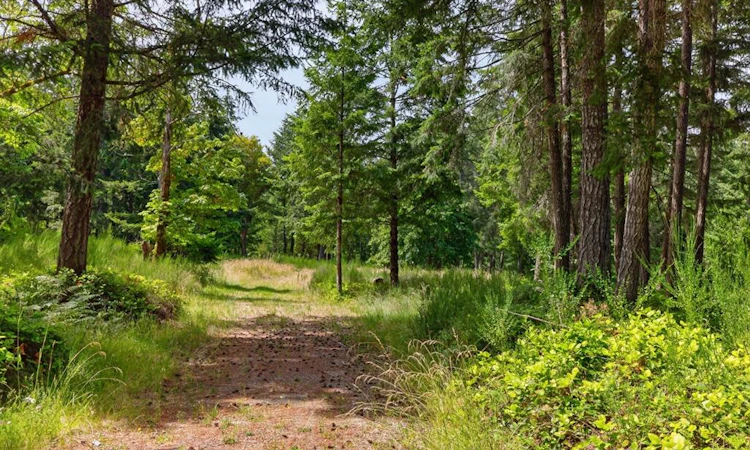 Lot A-6755 Stoney Hill Road