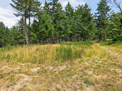 Lot A-6755 Stoney Hill Road - 5