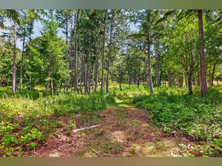 Lot B-6755 Stoney Hill Road, Duncan, BC, V9L 6Y6 - 6