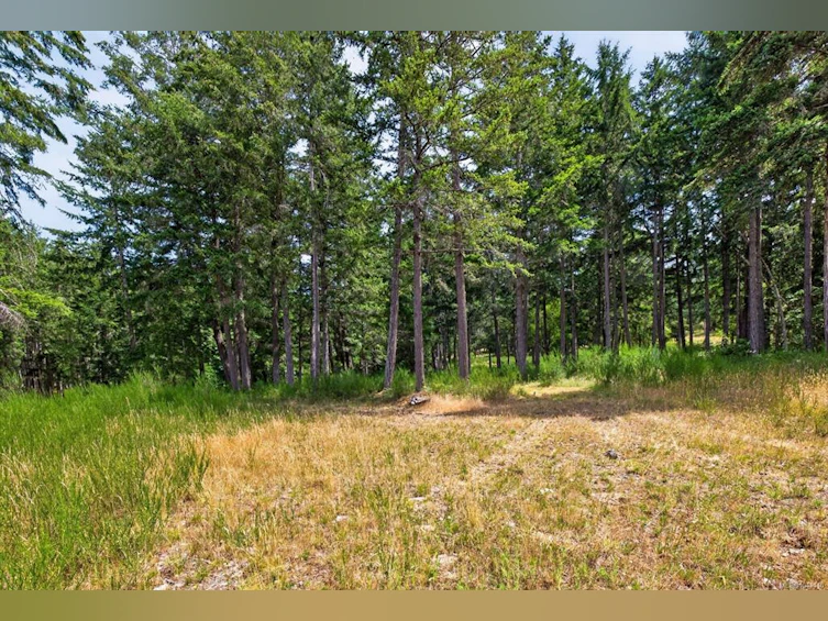 Lot B-6755 Stoney Hill Road, Duncan, BC, V9L 6Y6 - 4